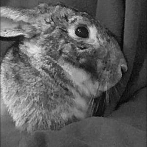 Meet your Posher, Kaylie